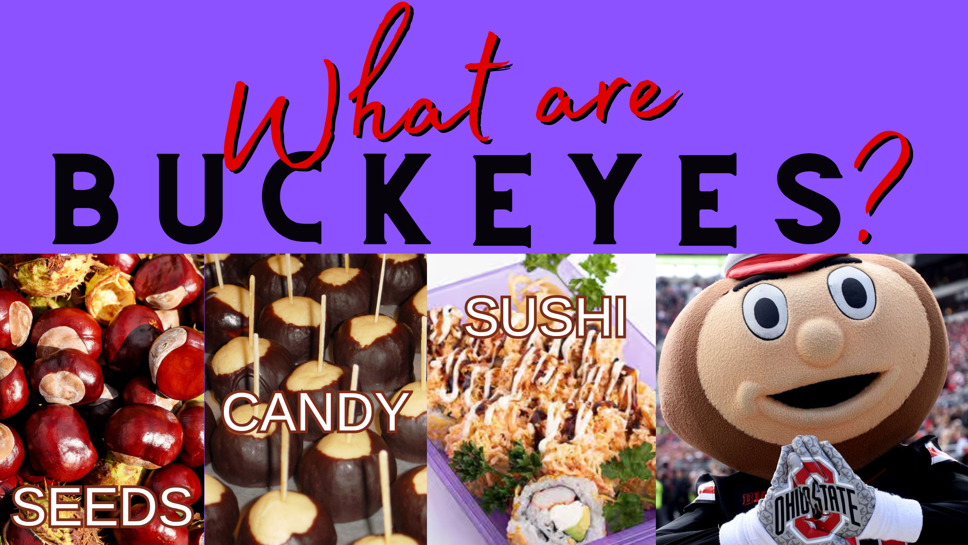 What’s So Great About Buckeyes? Let Me Count the Ways…